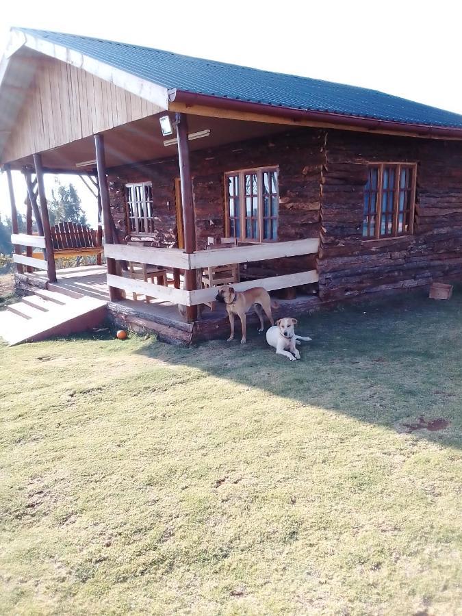 Timau The Wonky House 아파트 외부 사진